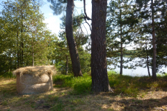 P1050206
