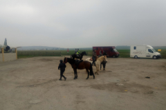IMG_20190324_094707