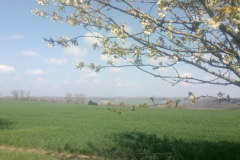 7-IMG_20190414_113328