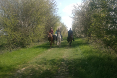 8-IMG_20190414_115300