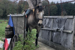 IMG-20191127-WA0108