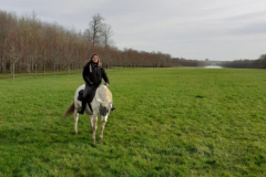 IMG-20191217-WA0015