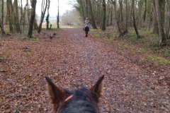 1-IMG_20211212_105652