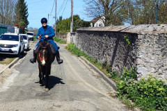 IMG_20220410_124324-2