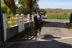 IMG_20220410_130649_1