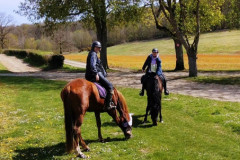 IMG_20220410_134155-2