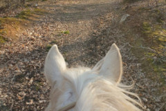 SAVE_20220405_165053