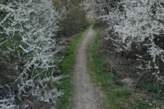 SAVE_20220405_165205