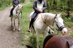 IMG_20220508_122550-2