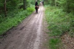 IMG_20220508_123621_1