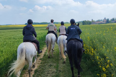 IMG_20220508_150505_1