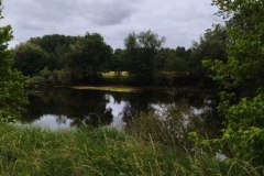 IMG_20220527_105447