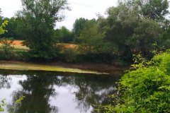IMG_20220527_105526