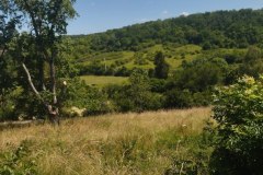 IMG_20220612_121603