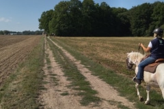 IMG_20220828_113259