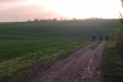 IMG_20221029_173434