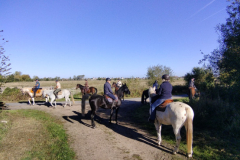 IMG_20221009_112015