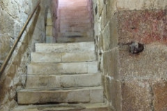 IMG_20230814_164032