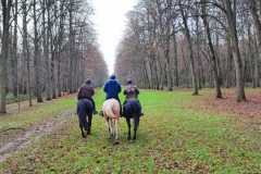 IMG-20231210-WA0079