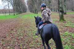 IMG-20231210-WA0086
