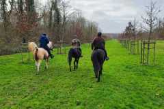 IMG-20231210-WA0088