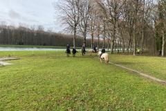 IMG-20231210-WA0089