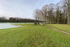 IMG-20231210-WA0111