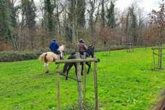 IMG-20231210-WA0115