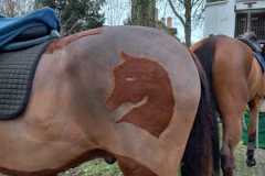 IMG-20231210-WA0131