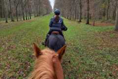 IMG-20231210-WA0133