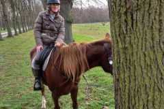 IMG-20231210-WA0136