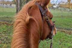 IMG-20231210-WA0138