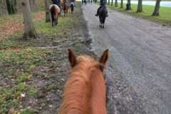 IMG-20231210-WA0147