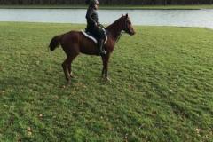 IMG-20231210-WA0153