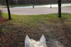 IMG-20231210-WA0154