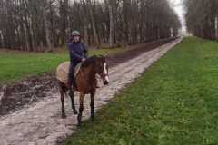 IMG-20231210-WA0166
