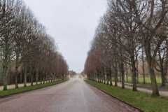 IMG-20231210-WA0167