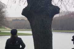 IMG-20231210-WA0173
