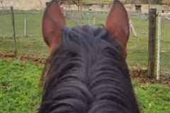 IMG-20231210-WA0175