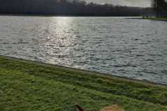 IMG-20231210-WA0194