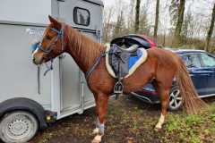 IMG-20231210-WA0197