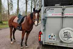 IMG-20231210-WA0203