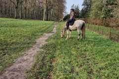 IMG-20231210-WA0332
