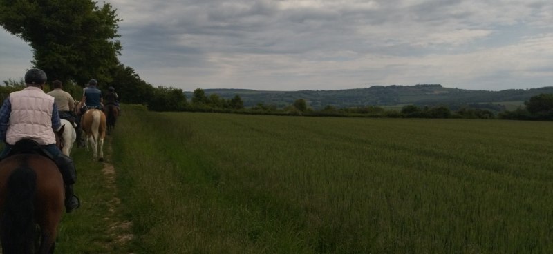 IMG_20230520_100811