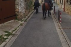 IMG_20230702_104421