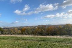 IMG-20231119-WA0107