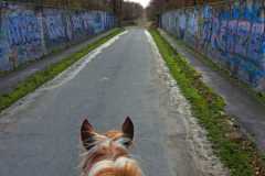 IMG-20231119-WA0178