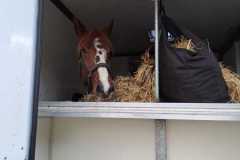 IMG-20231119-WA0182