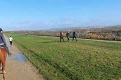 IMG-20231119-WA0201