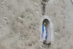 IMG-20231028-WA0031